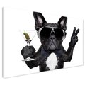 Obraz na płótnie - pies, martini, okulary