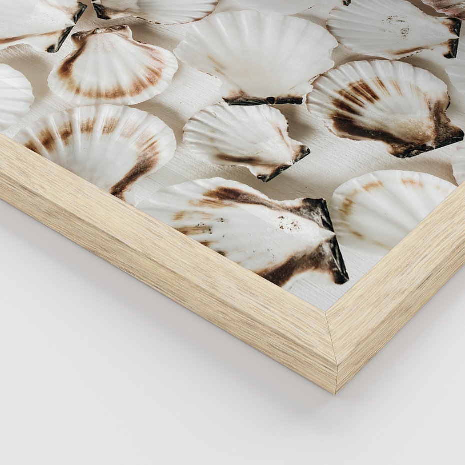 Zestaw obrazy w ramie, plakaty - muszle, plaża, woda - rama drewno