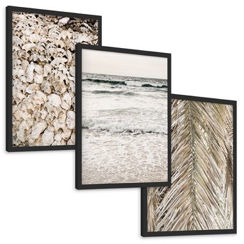 Zestaw obrazy w ramie, plakaty - muszle, morze, liście - rama czarna
