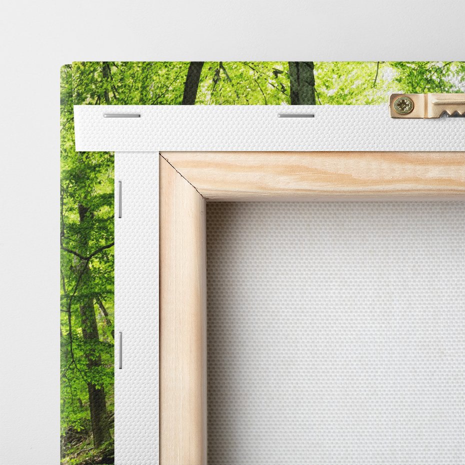 Obraz na płótnie - las, wodospad, natura