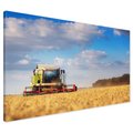 Obraz na płótnie - Kombajn, Pole, Niebo