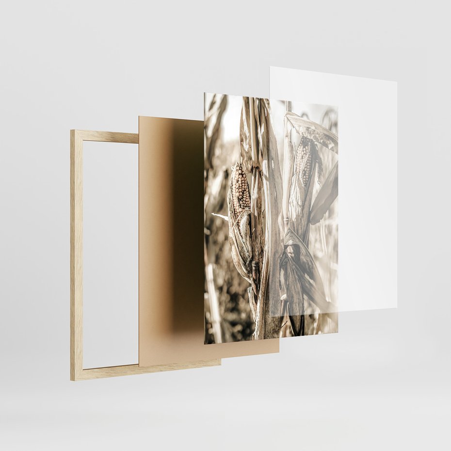 Zestaw obrazy w ramie, plakaty - kukurydza, pole, rolnictwo - rama drewno
