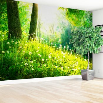 Fototapeta - las, wiosna, natura