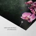 Fototapeta - kwiaty, orchidee, tło