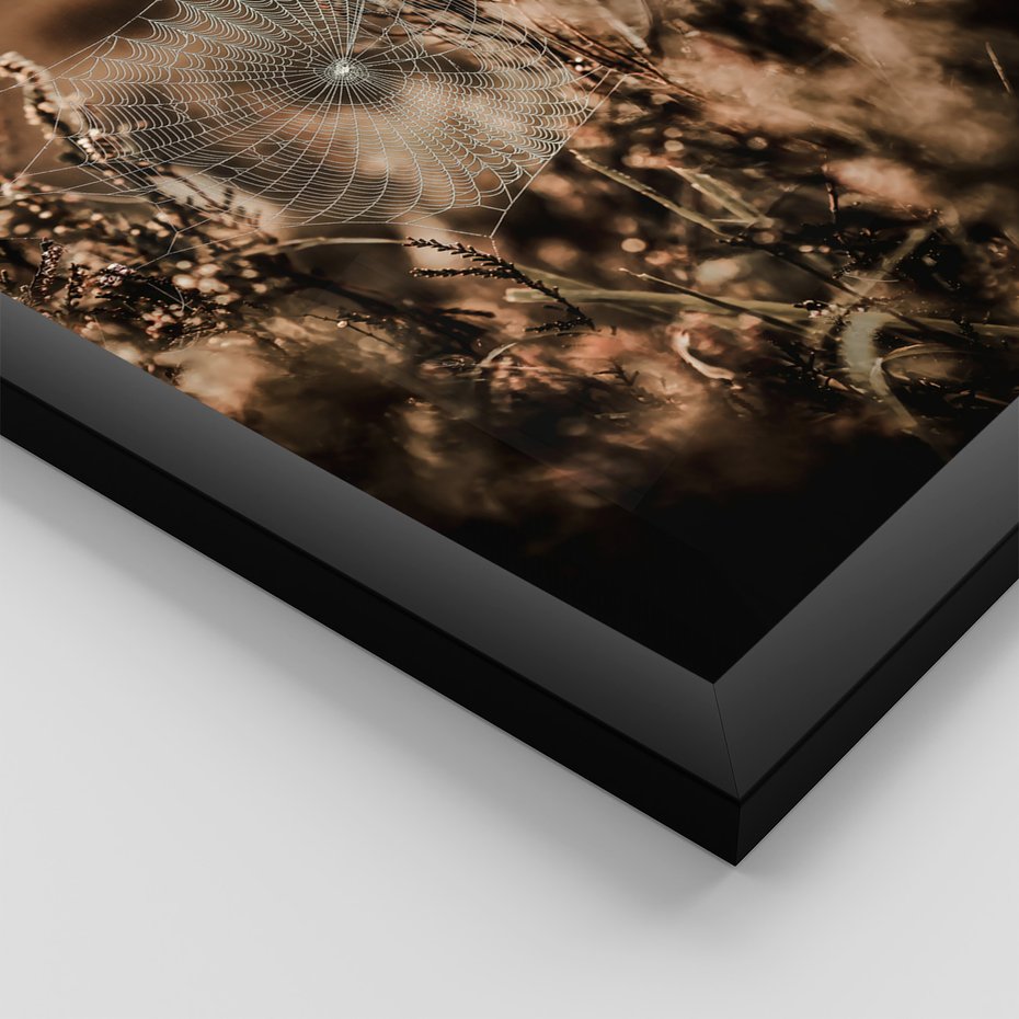 Zestaw obrazy w ramie, plakaty - przyroda, pajęczyna, owoce - rama czarna