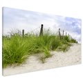 Obraz na płótnie - plaża, trawa, wydmy