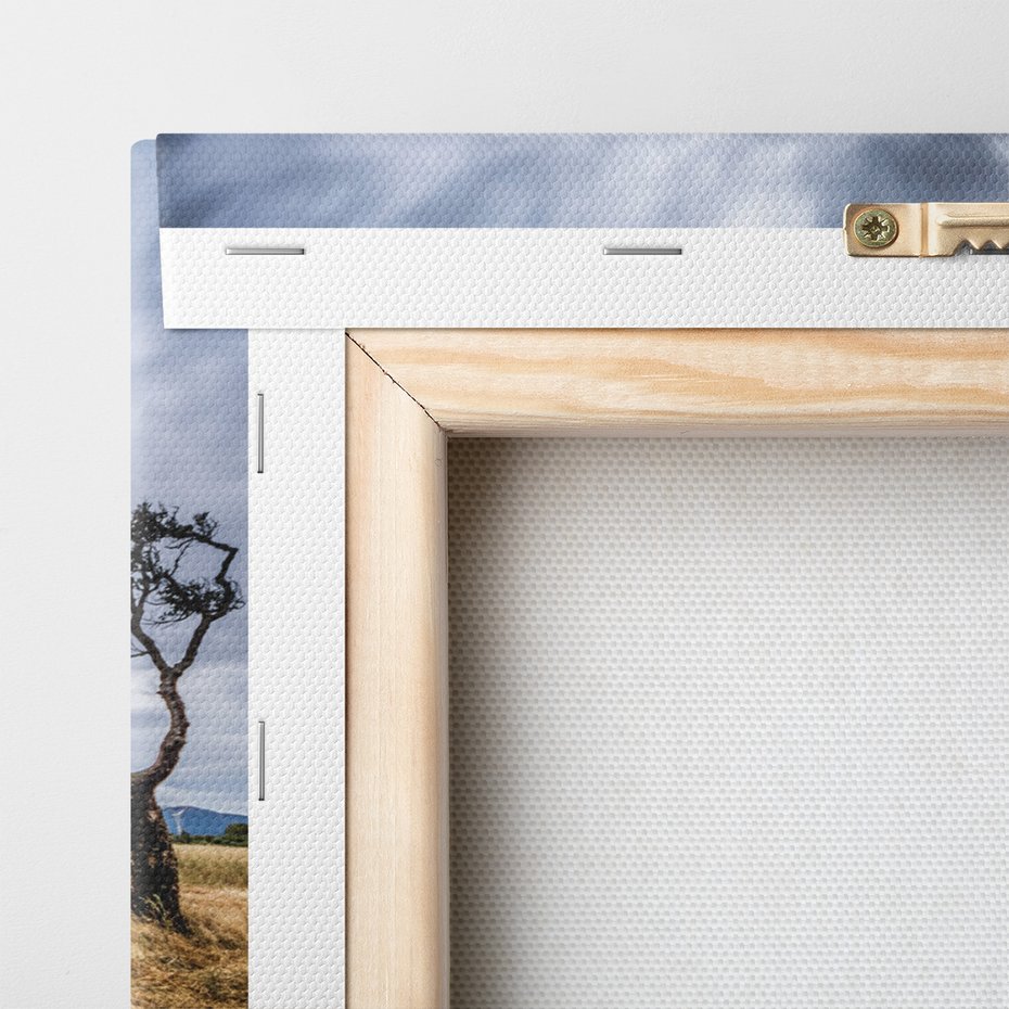 Obraz na płótnie - krajobraz, drzewo, chmury