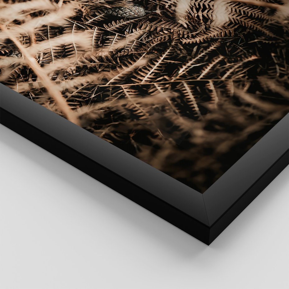 Zestaw obrazy w ramie, plakaty - natura, liście, góry - rama czarna