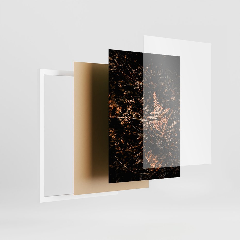 Zestaw obrazy w ramie, plakaty - natura, liście, drzewa - rama biała