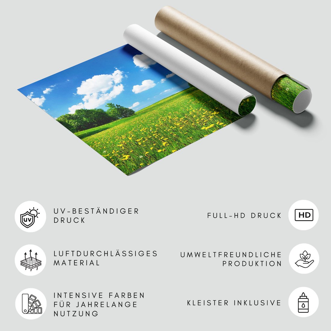 Fototapeta - łąka, chmury, natura