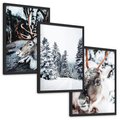 Zestaw obrazy w ramie, plakaty - renifer, zima, śnieg - rama czarna