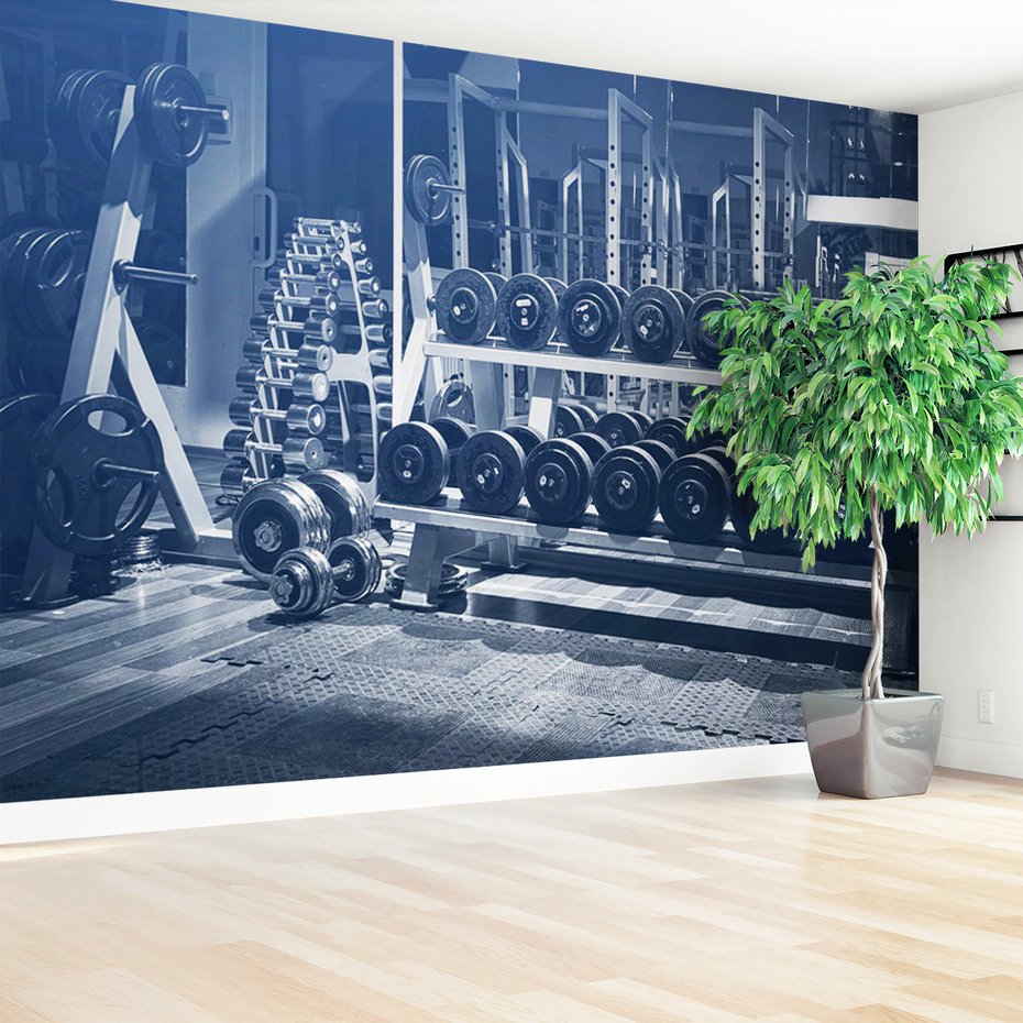 Fototapeta - siłownia, ciężary, trening