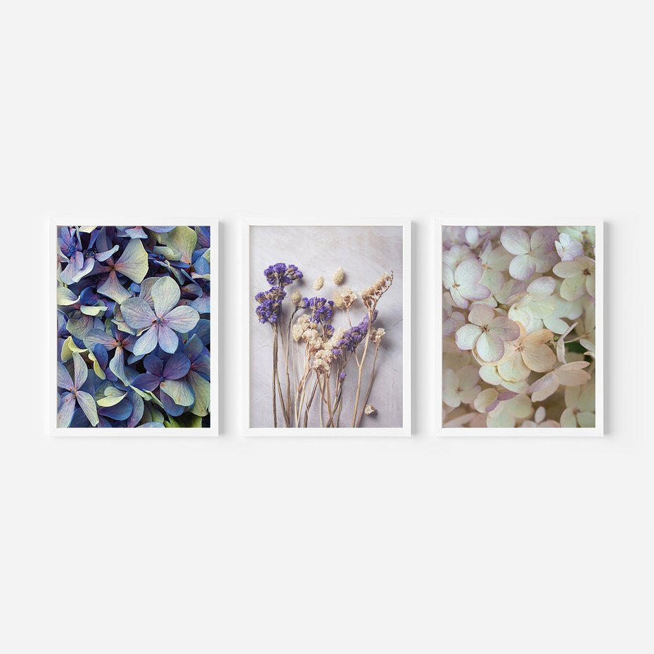 Zestaw obrazy w ramie, plakaty - kwiaty, hortensje, suszone kwiaty - rama biała