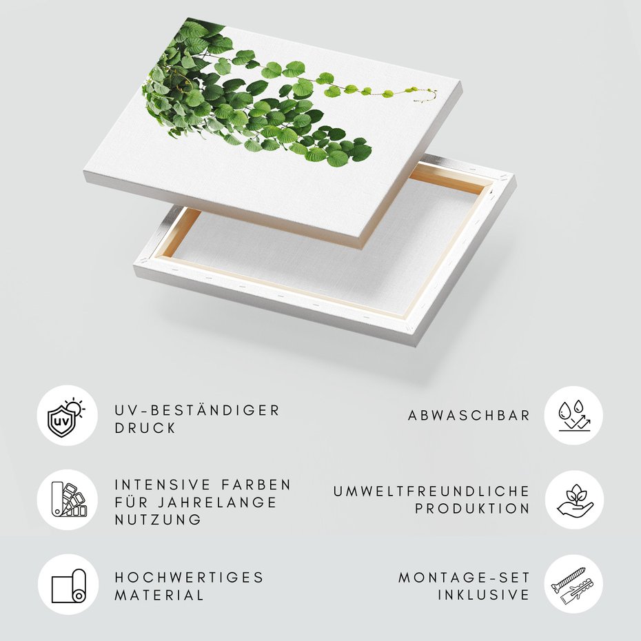 Obraz na płótnie - liście, zielony, roślina