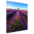 Obraz na płótnie - lawenda, pole, krajobraz