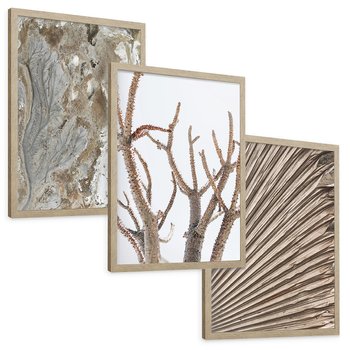 Zestaw obrazy w ramie, plakaty - abstrakcja, roślina, natura - rama drewno