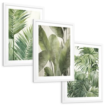 Zestaw obrazy w ramie, plakaty - liście, tropikalny, rośliny - rama biała