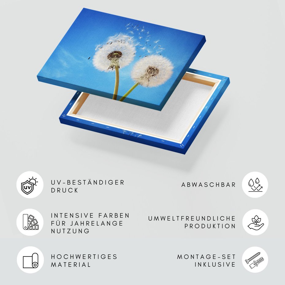 Obraz na płótnie - dmuchawiec, niebo, natura