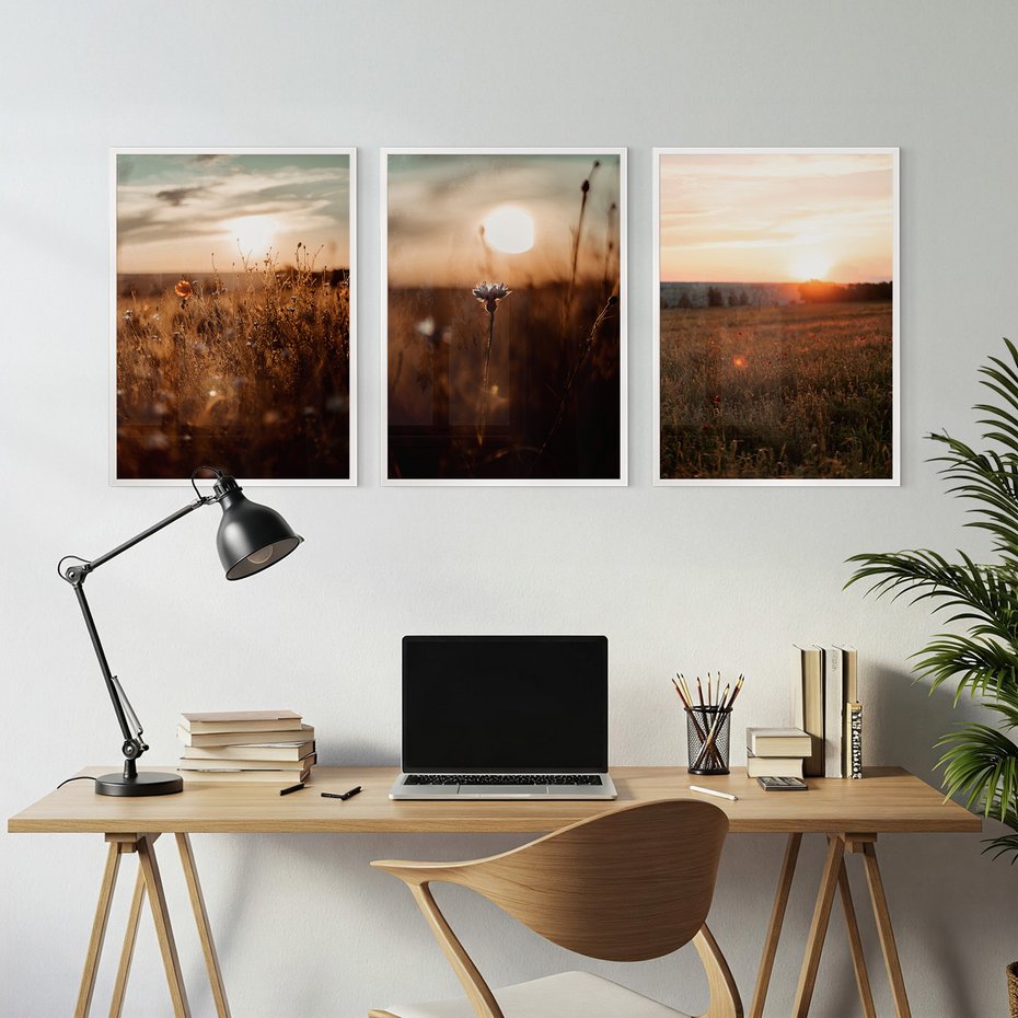 Zestaw obrazy w ramie, plakaty - pole, kwiaty, słońce - rama biała
