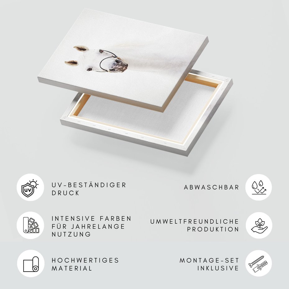 Obraz na płótnie - koń, zwierzę, portret