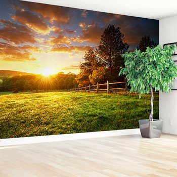 Fototapeta - zachód słońca, krajobraz, drzewa