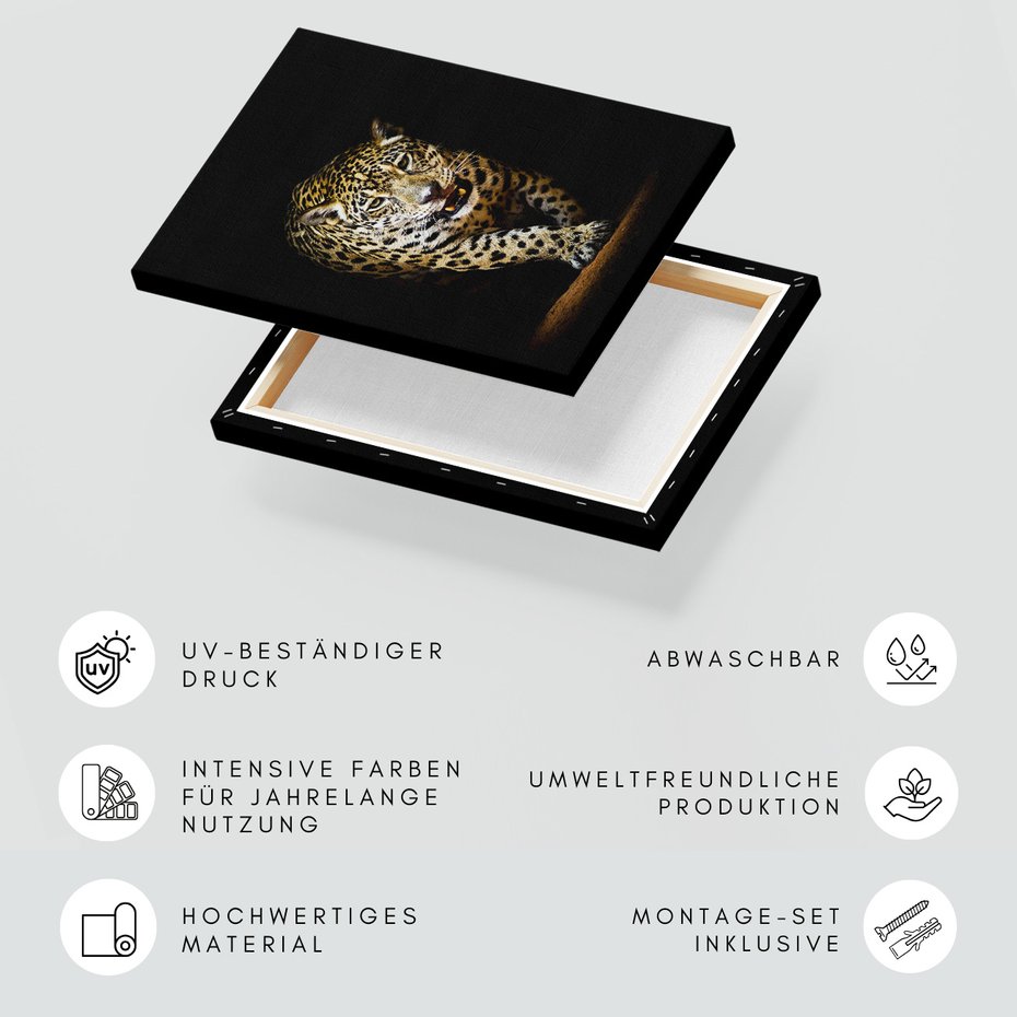 Obraz na płótnie - jaguar, zwierzę, drapieżnik