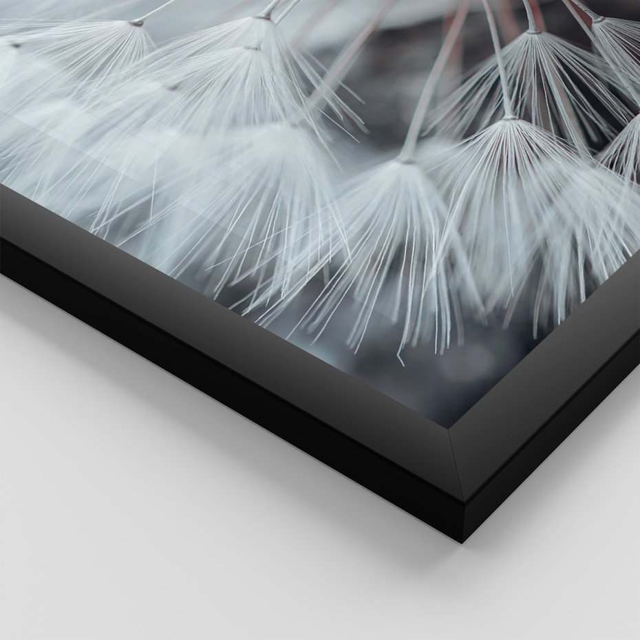 Zestaw obrazy w ramie, plakaty - dmuchawiec, natura, nasiona - rama czarna