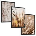 Zestaw obrazy w ramie, plakaty - cienie, trawa, abstrakcja - rama czarna