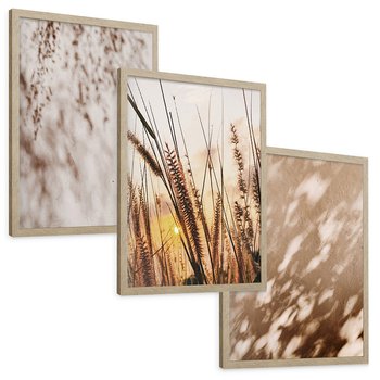 Zestaw obrazy w ramie, plakaty - cienie, trawa, abstrakcja - rama drewno