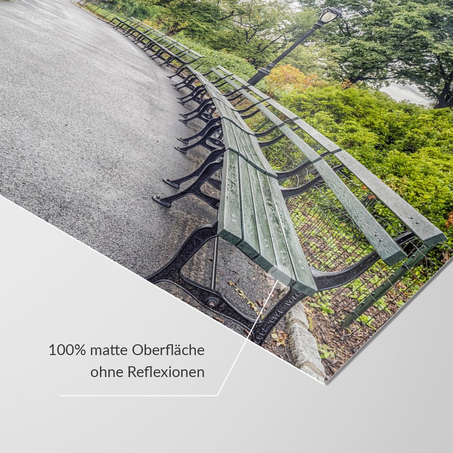 Fototapeta - park, ławki, miasto