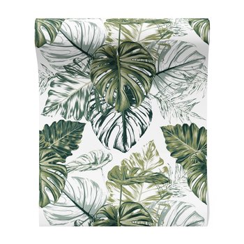 Tapeta - liście, monstera, rośliny