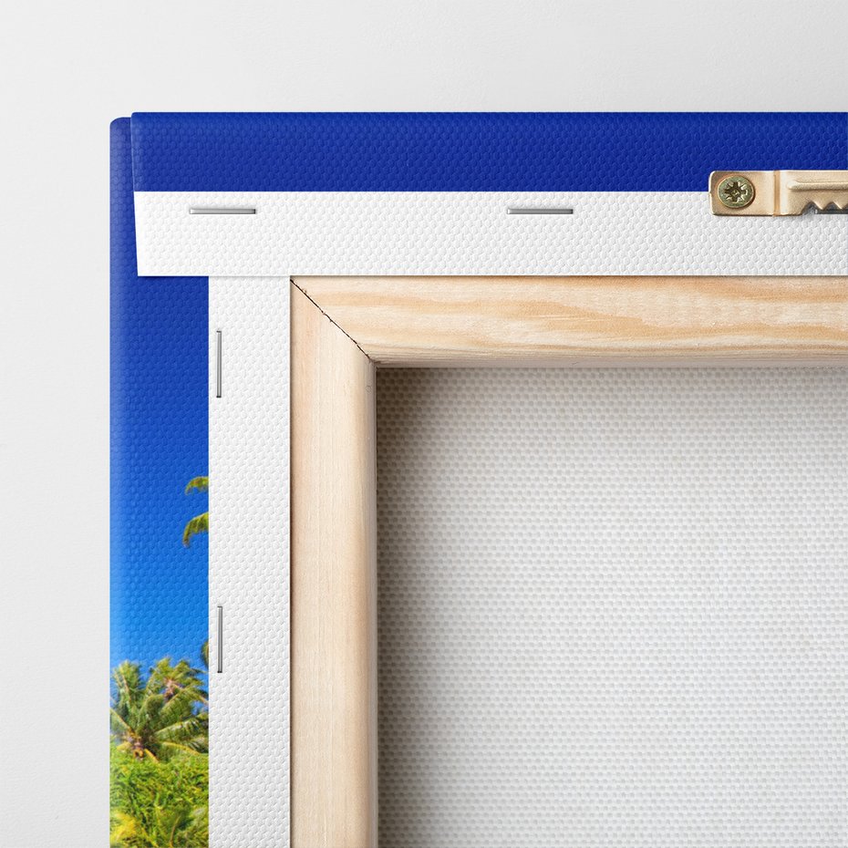 Obraz na płótnie - rekin, morze, tropiki