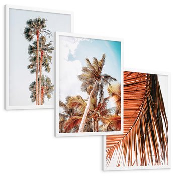 Zestaw obrazy w ramie, plakaty - palmy, tropikalny, lato - rama biała