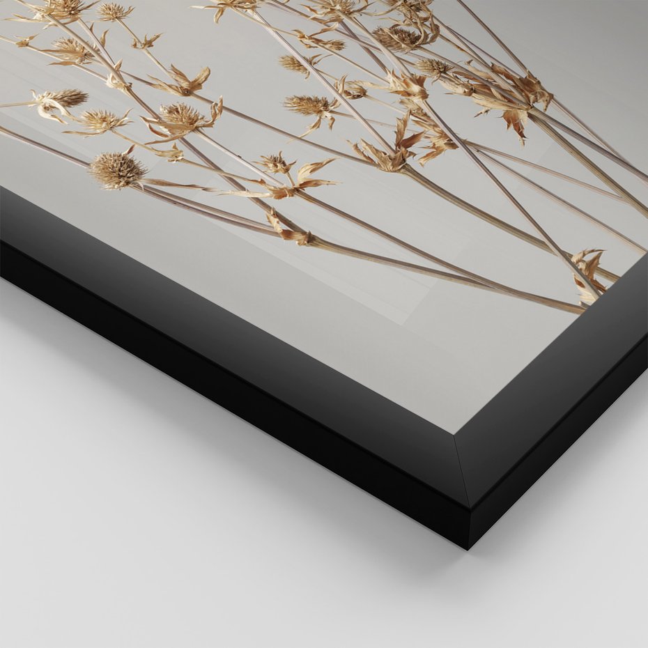 Zestaw obrazy w ramie, plakaty - roślina, kwiat, suszone - rama czarna