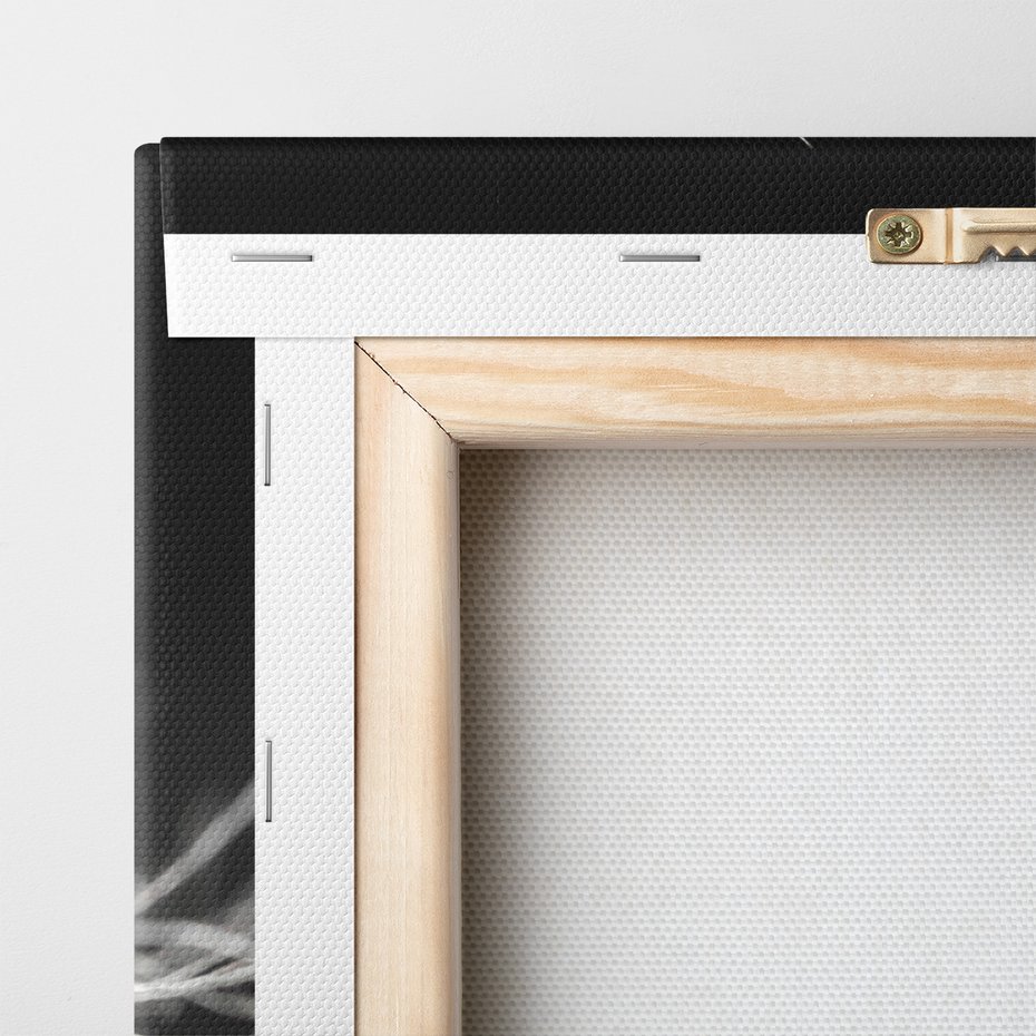 Obraz na płótnie - dmuchawiec, nasiona, natura