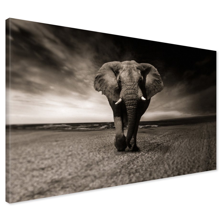 Obraz na płótnie - słoń, plaża, morze