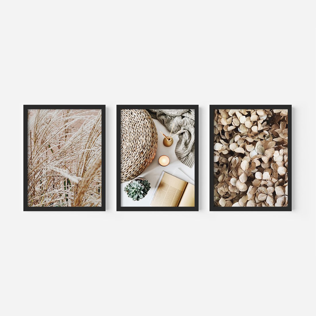Zestaw obrazy w ramie, plakaty - roślina, beżowy, dekoracja - rama czarna