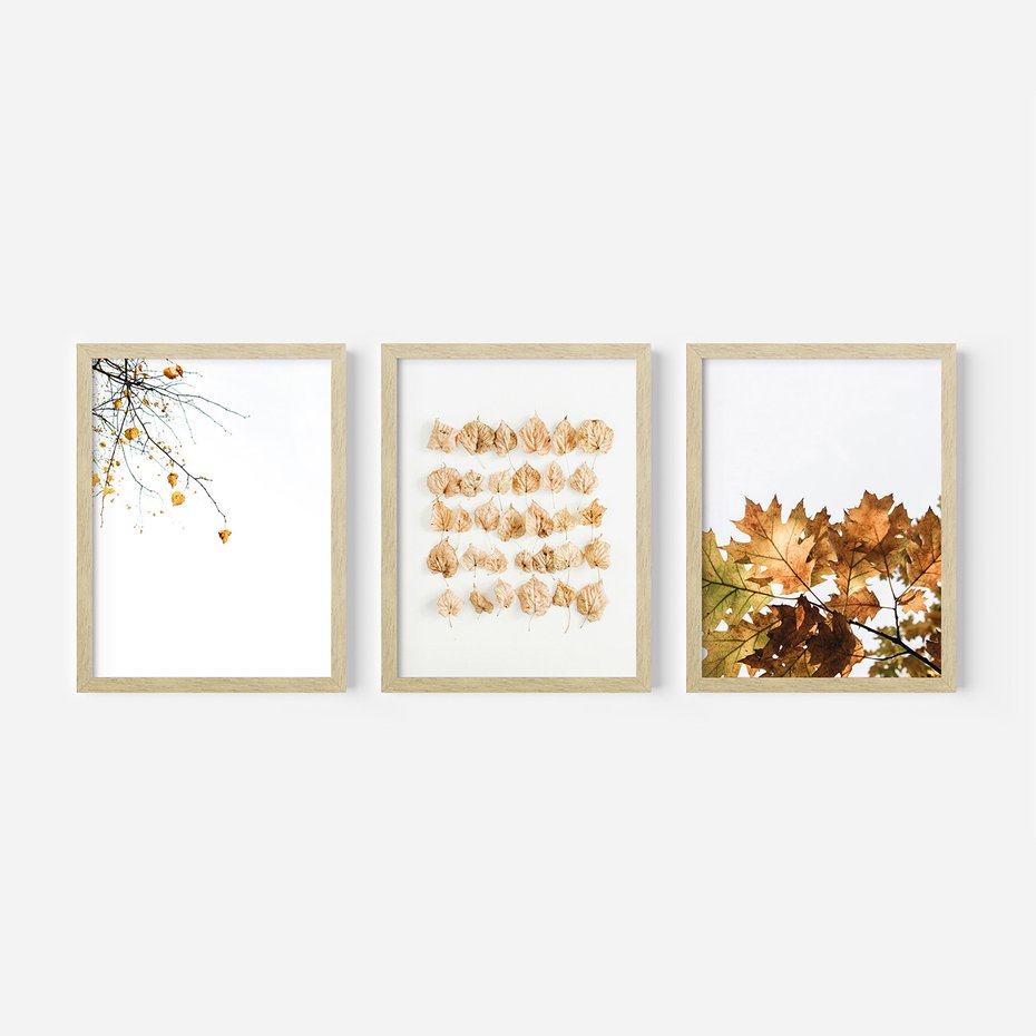 Zestaw obrazy w ramie, plakaty - liście, jesień, gałęzie - rama drewno