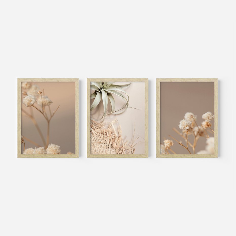 Zestaw obrazy w ramie, plakaty - kwiaty, roślina, suszone - rama drewno