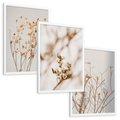 Zestaw obrazy w ramie, plakaty - kwiaty,rośliny,suszone, - rama biała