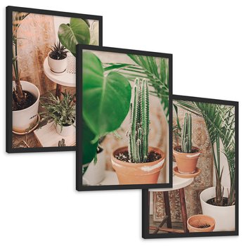 Zestaw obrazy w ramie, plakaty - rośliny, doniczki, wnętrze - rama czarna