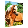 Obraz na płótnie - koń, zwierzę, natura