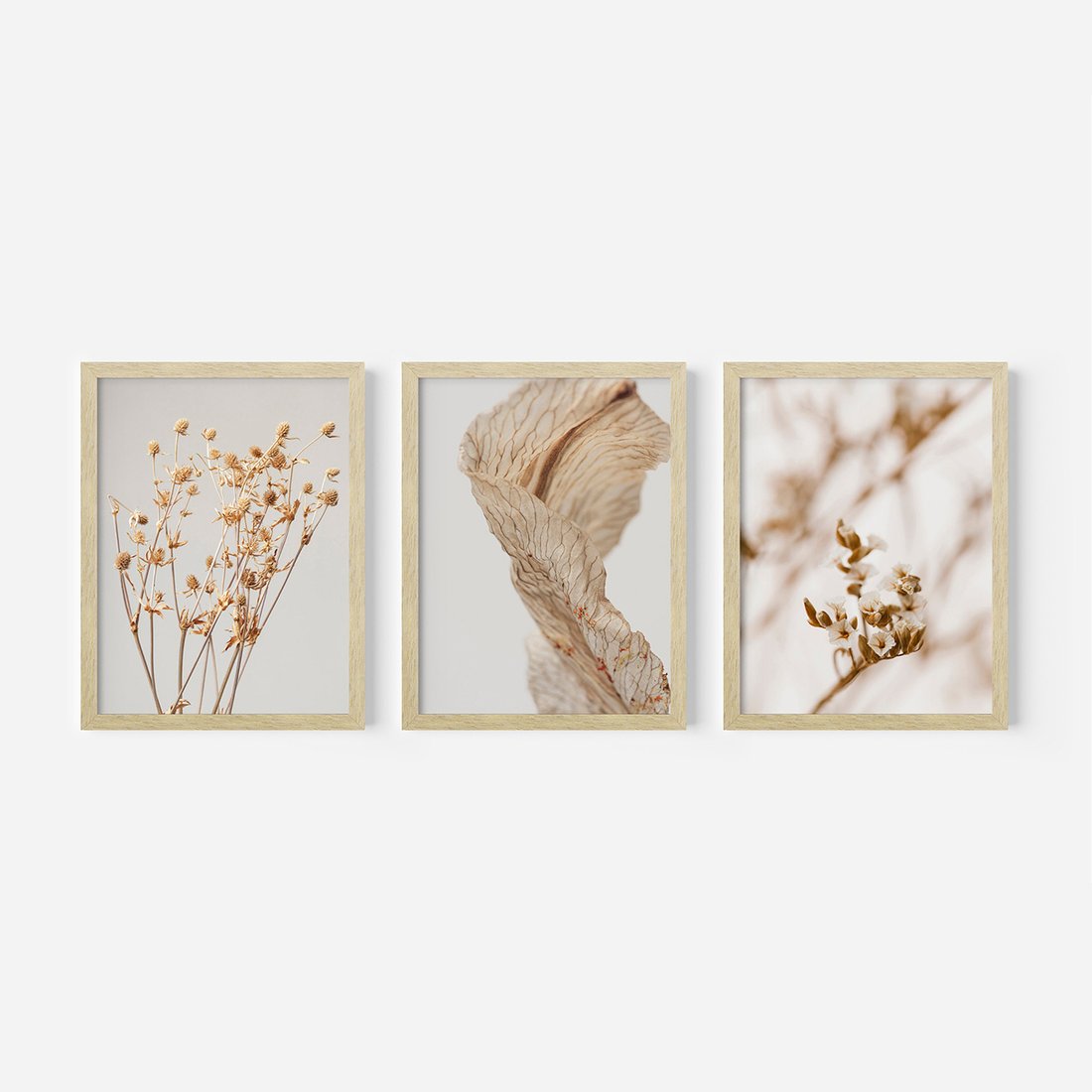 Zestaw obrazy w ramie, plakaty - roślina, kwiat, suszone - rama drewno