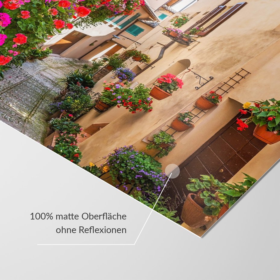 Fototapeta - kwiaty, uliczka, rośliny