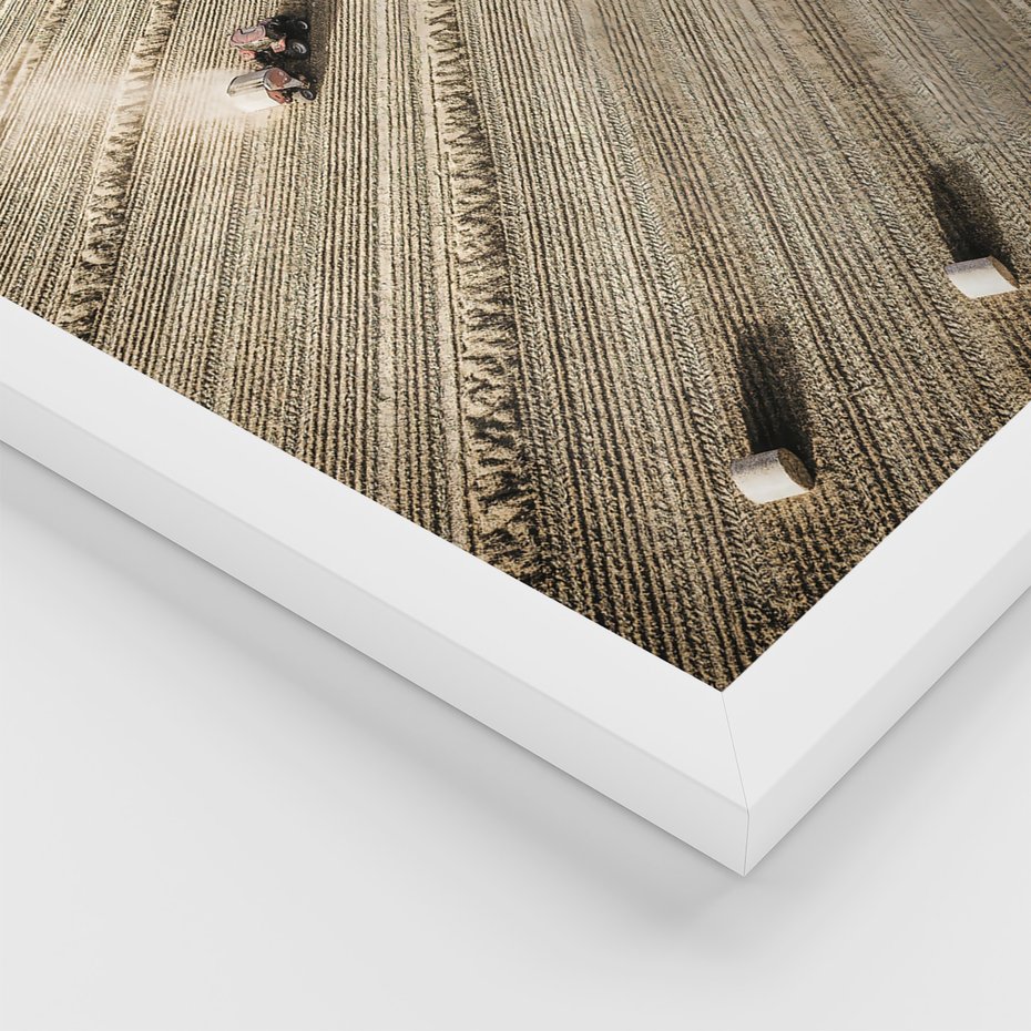 Zestaw obrazy w ramie, plakaty - ziemia, traktor, kora - rama biała