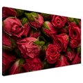 Obraz na płótnie - róże, kwiaty, czerwony