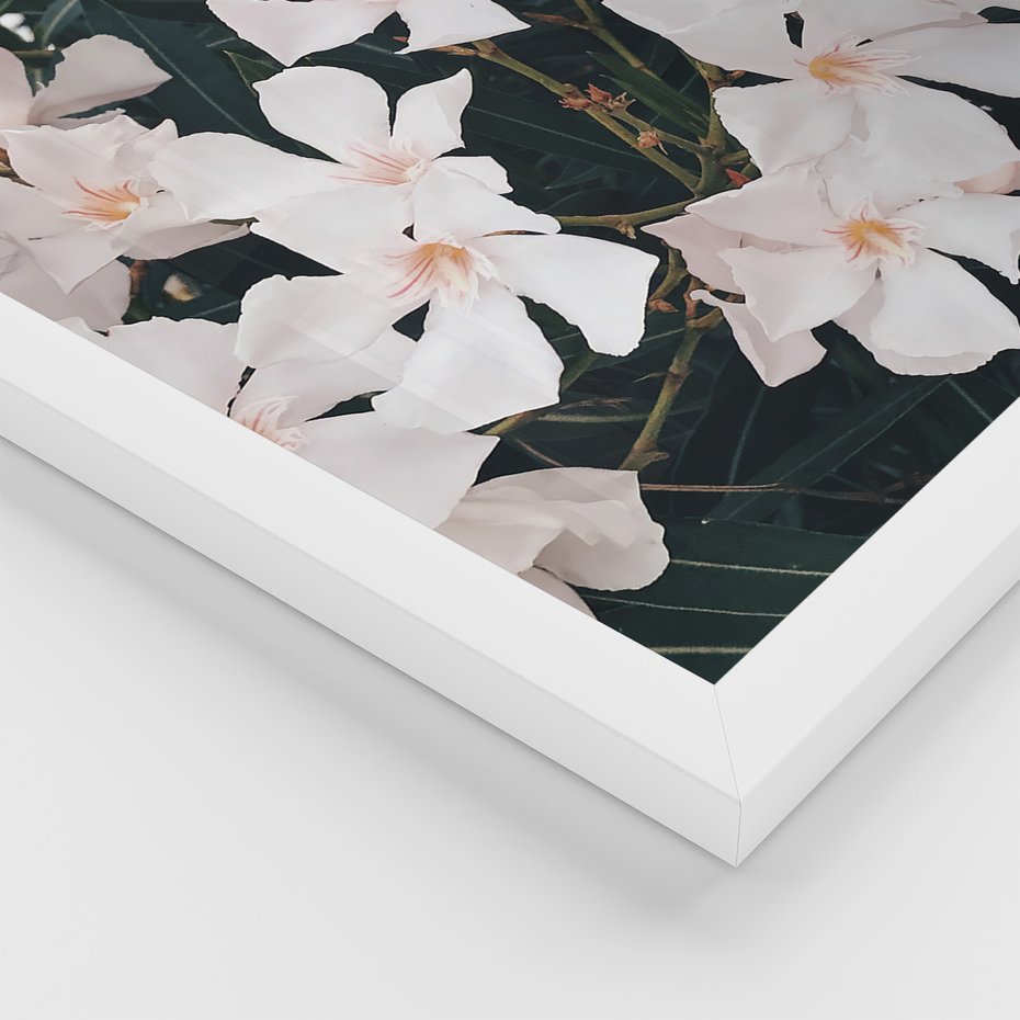 Zestaw obrazy w ramie, plakaty - kwiaty, biały, roślina - rama biała