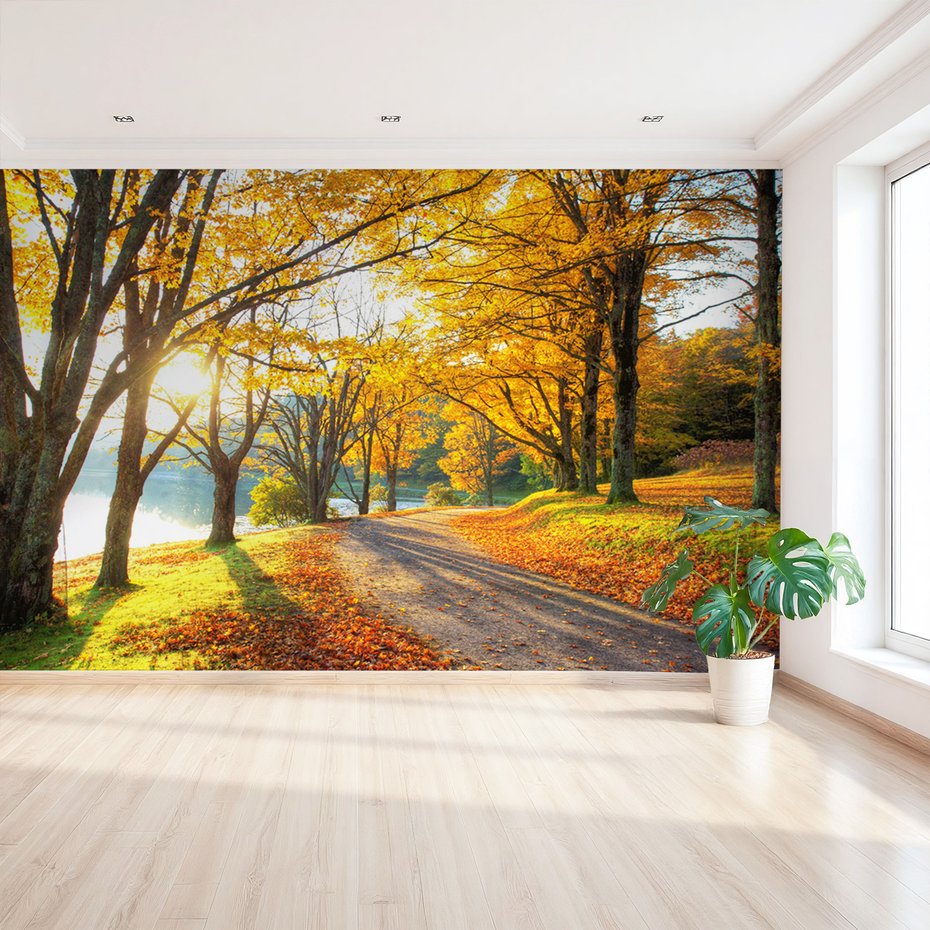 Fototapeta - jesień, liście, drzewa