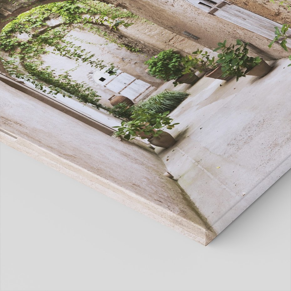 Obraz na płótnie - uliczka, rośliny, łuki