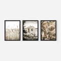 Zestaw obrazy w ramie, plakaty - natura, dom, rośliny - rama czarna